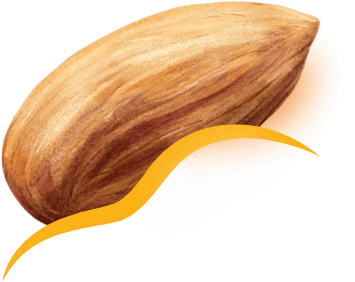 Almond floating in honey